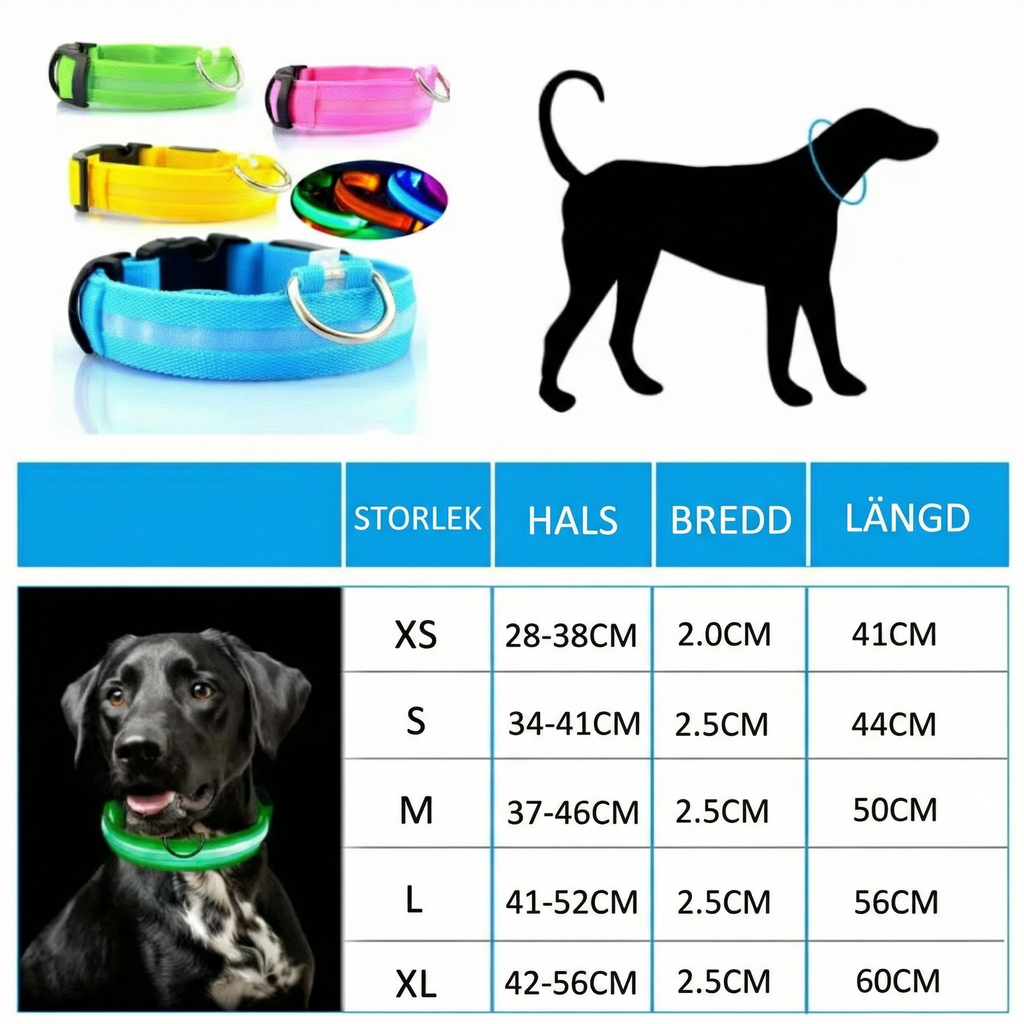 Säkerhetshalsband LED